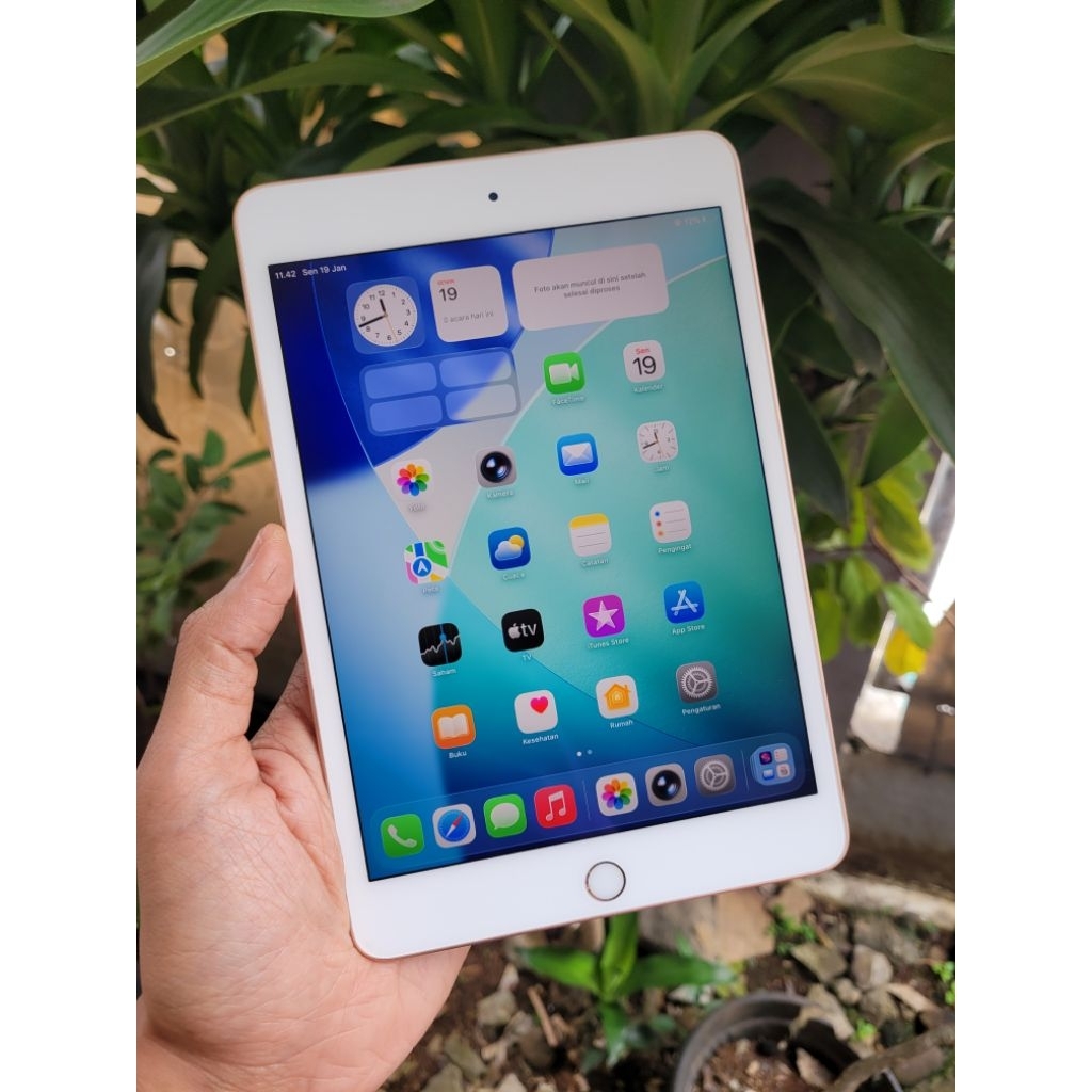 IPAD MINI 5 64GB WIFI ONLY ORIGINAL MULUS