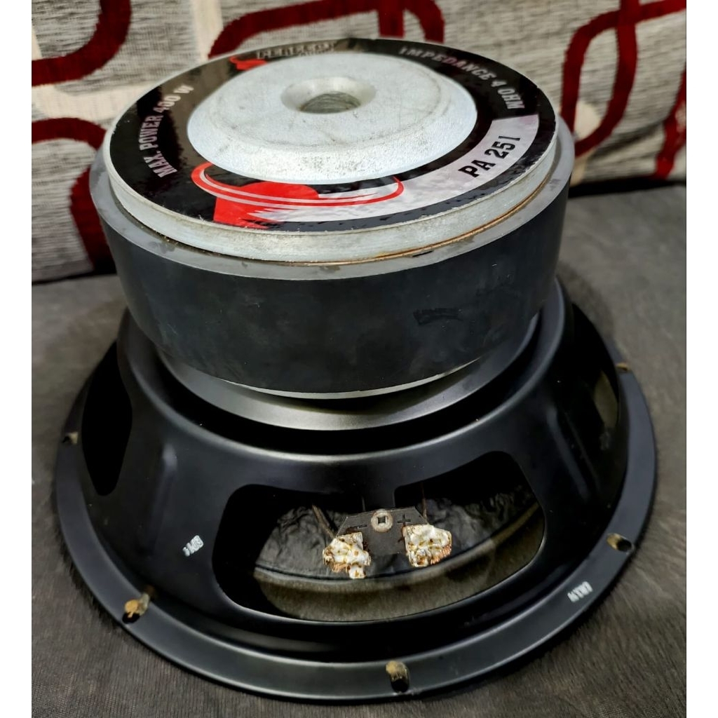 Subwoofer 10 inch perfect audio