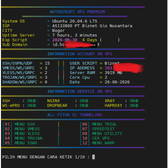 Jasa Install Script Auto Installer VPN SSH Xray V2ray VPS Debian Ubuntu