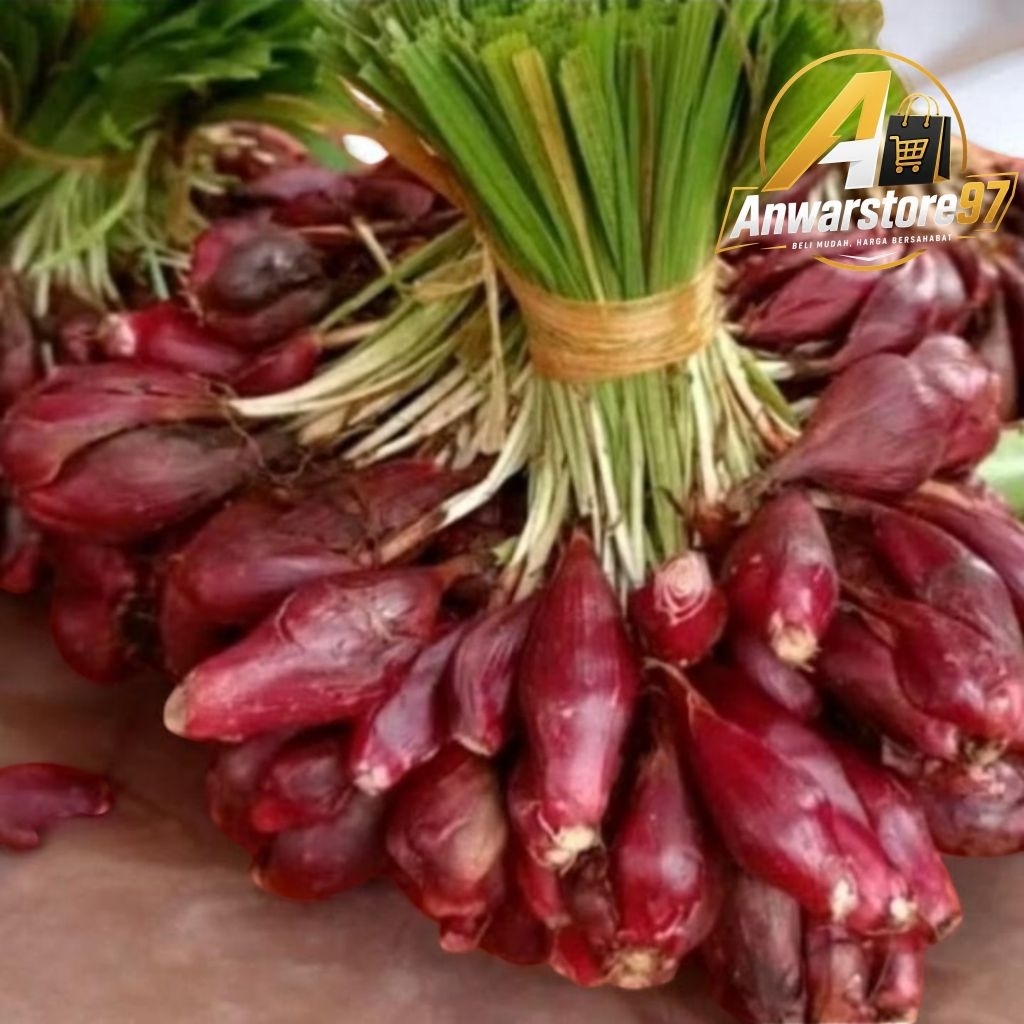 BAWANG DAYAK BASAH SEGAR 1 KG
