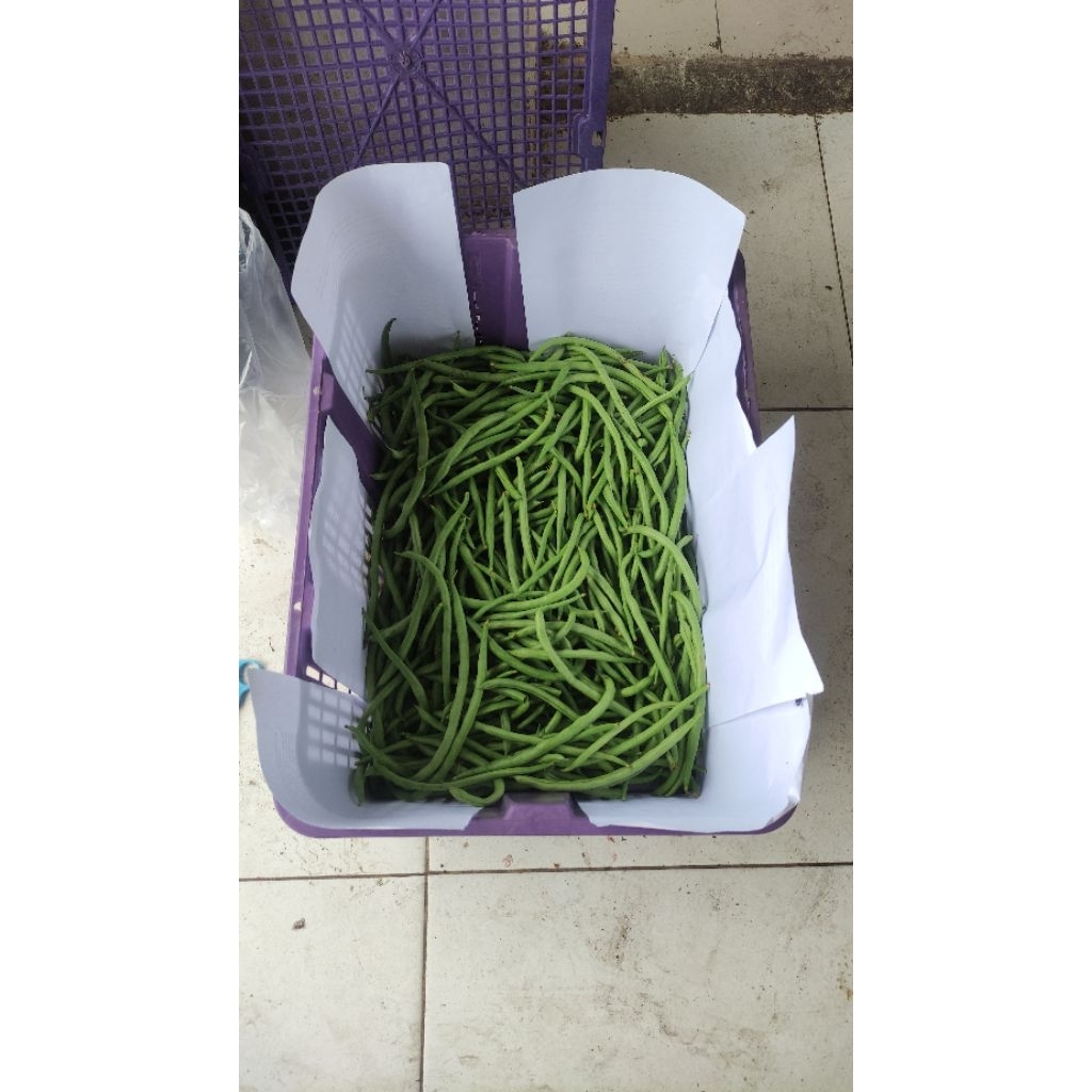 Buncis 1 kg