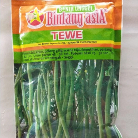 TERLARIS Benih buncis TEWE 500gram, buncis Bintang Asia