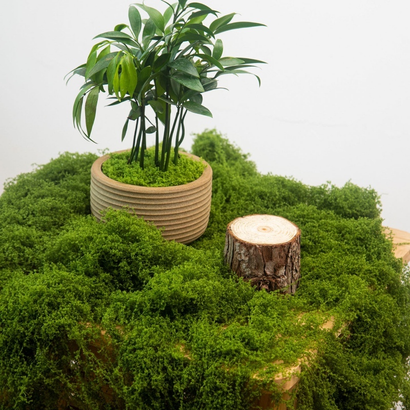 lumut sintetis rumput sintetis lumut abadi Artificial Moss Sintetis  Moss Dried  Lumut Awetan Lumut 