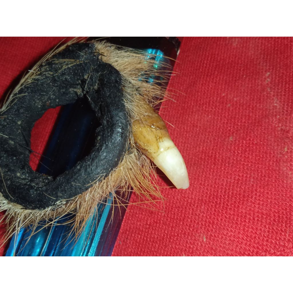 batu RB sam ban.. H. M. ASLI ALAMI