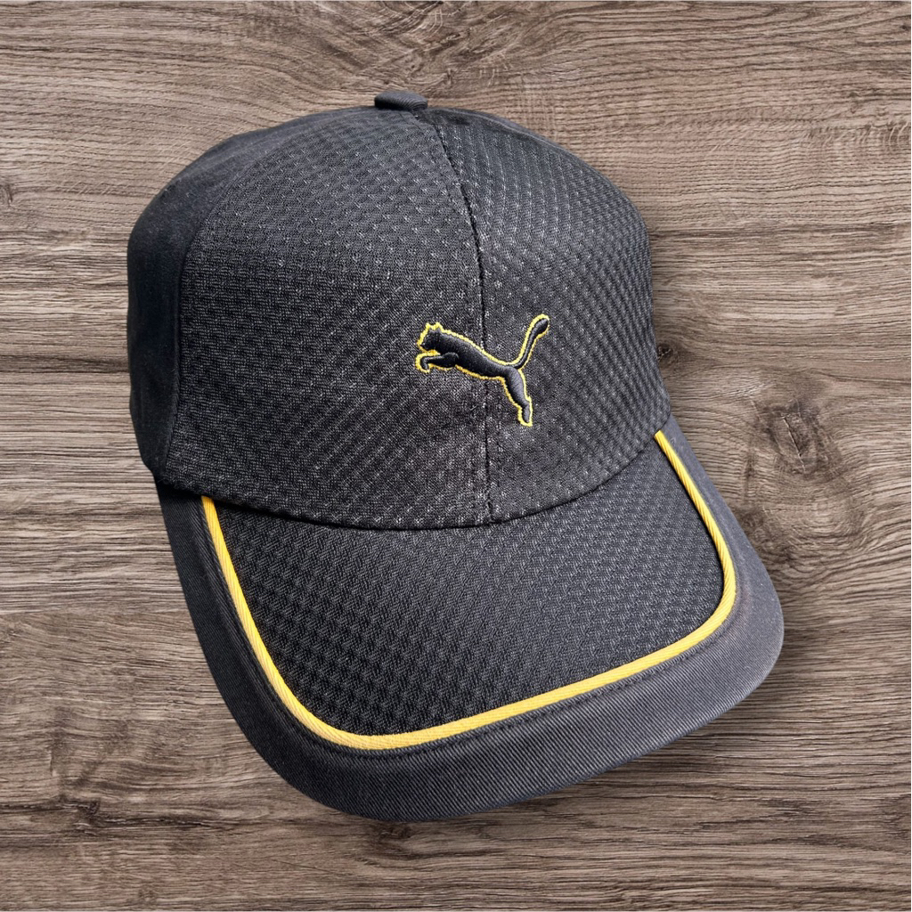 Topi puma
