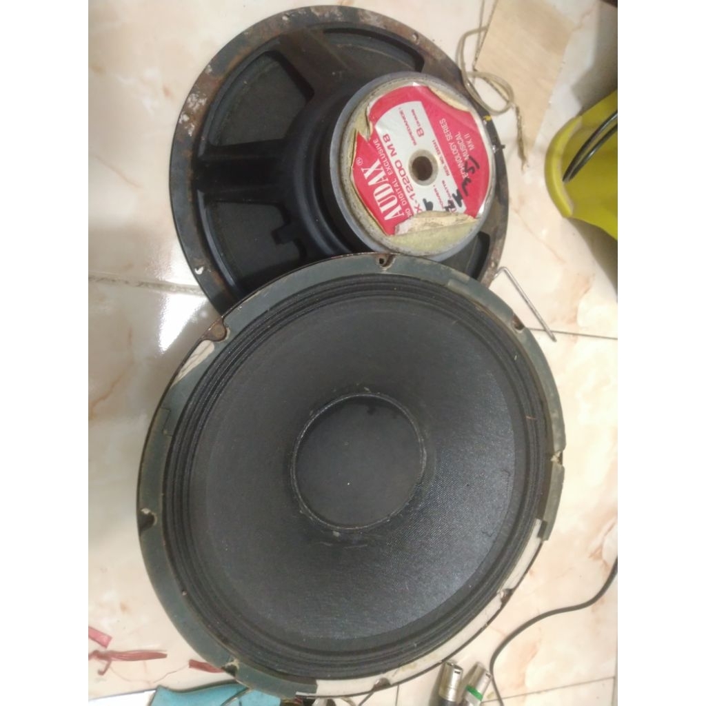 speaker 12 in audax