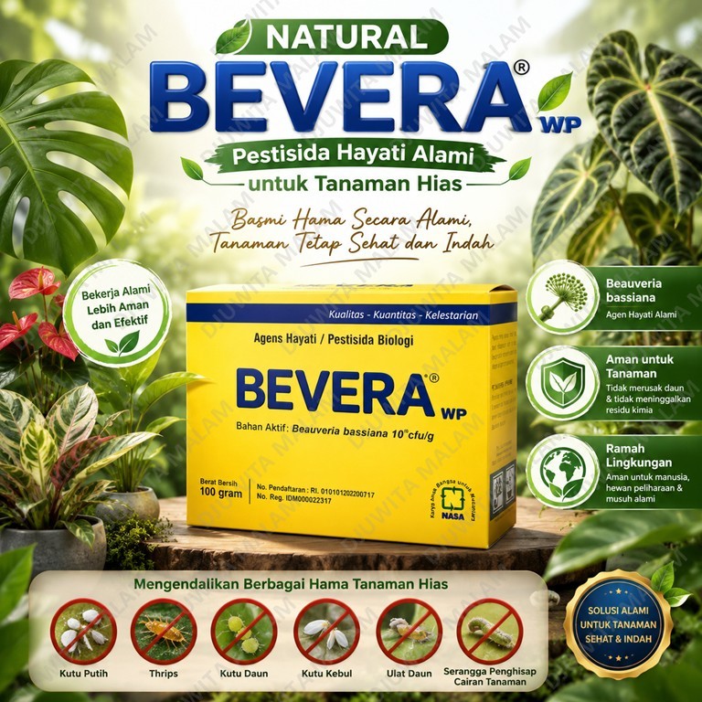 BVR Pembasmi Hama Tanaman Hias Aglonema Monstera Philodendron Anthurium Pestisida Alami Aman