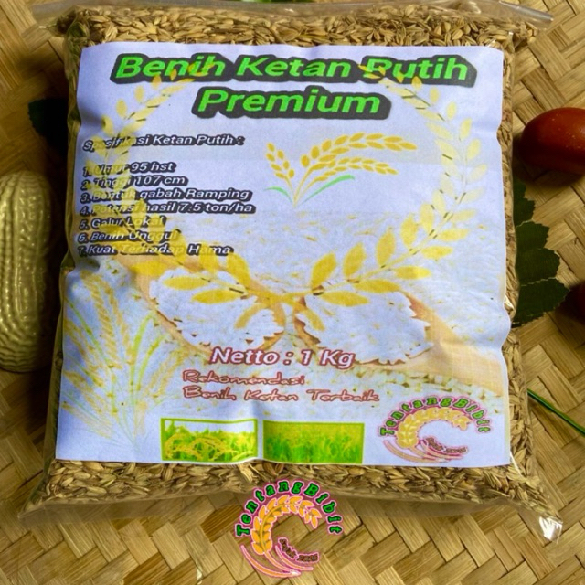 Benih ketan putih / bibit padi ketan putih 1 kg