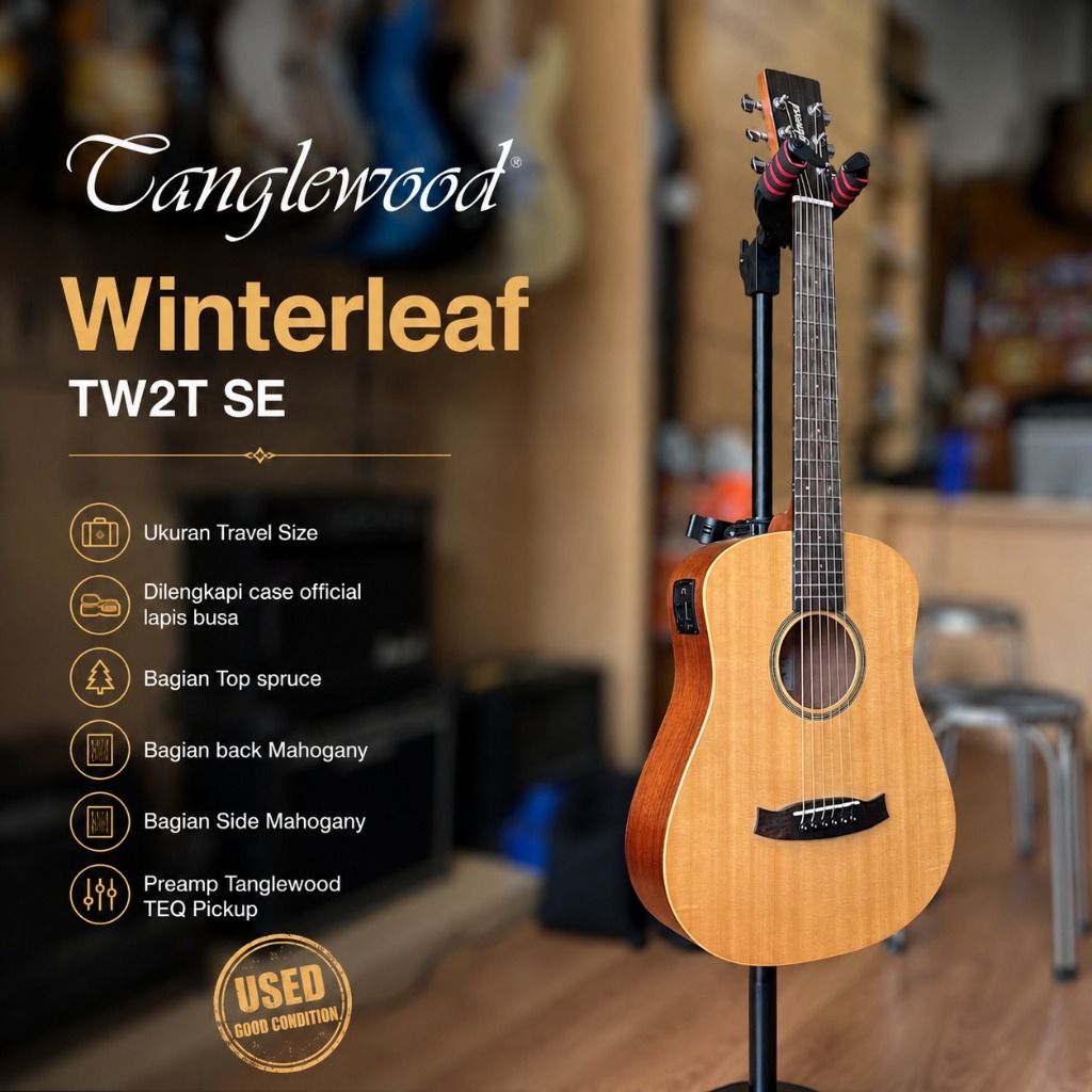Tanglewood Winterleaf TW2T SE Travel Acoustic Electric Guitar + Official Padded Case (Used Good Cond