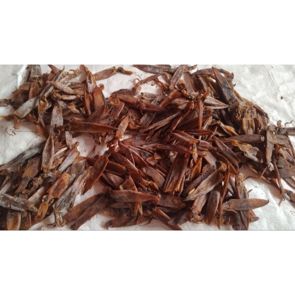 cumi kering juhi 250gram