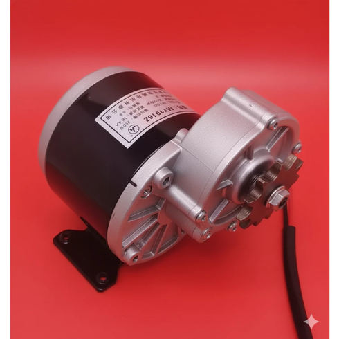 Dinamo Motor Brushed Gear Motor Electric Bike (7074) - MY1016Z3  350W 24V