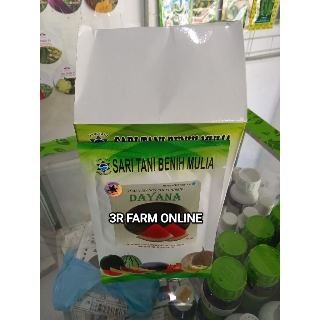 Benih Bibit Semangka Non Biji Dayana F1,  Perawatan Mudah. Tipe juve Prime (Produksi Tinggi, Perawat
