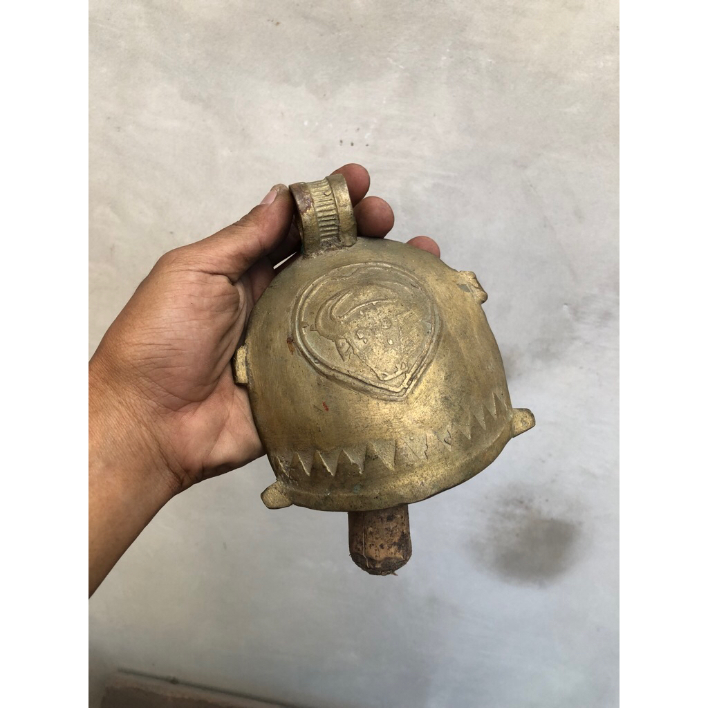 Klontongan sapi jumbo