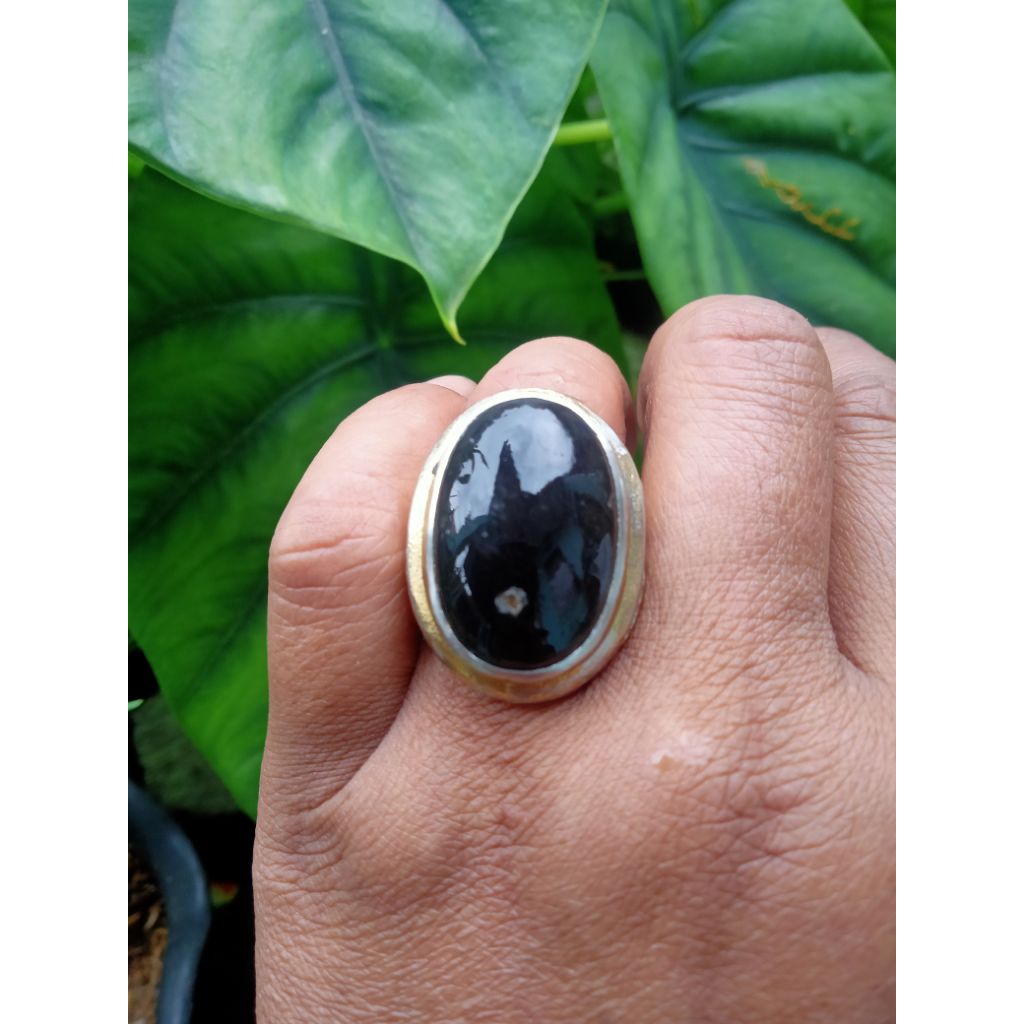 Wulung tanduk lawas natural