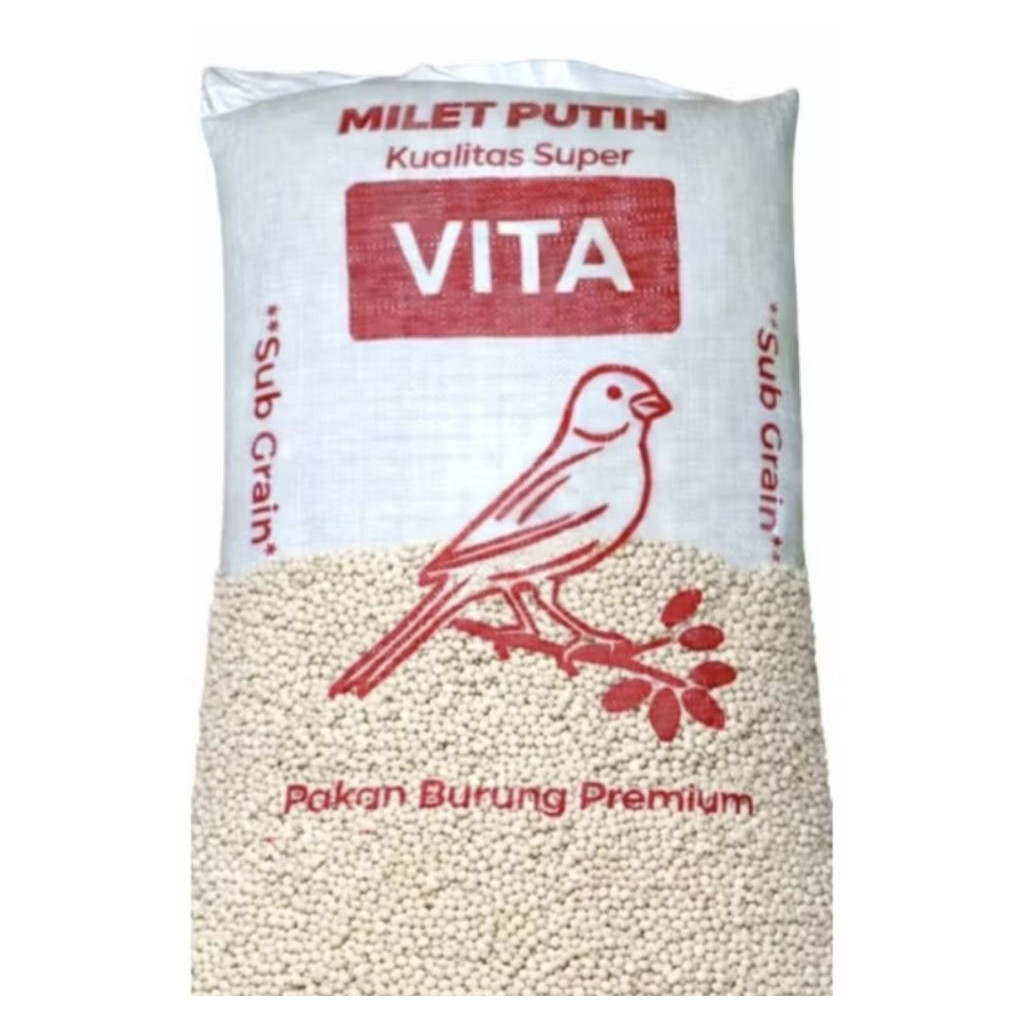 Milet yellow milet kuning biji pakan burung