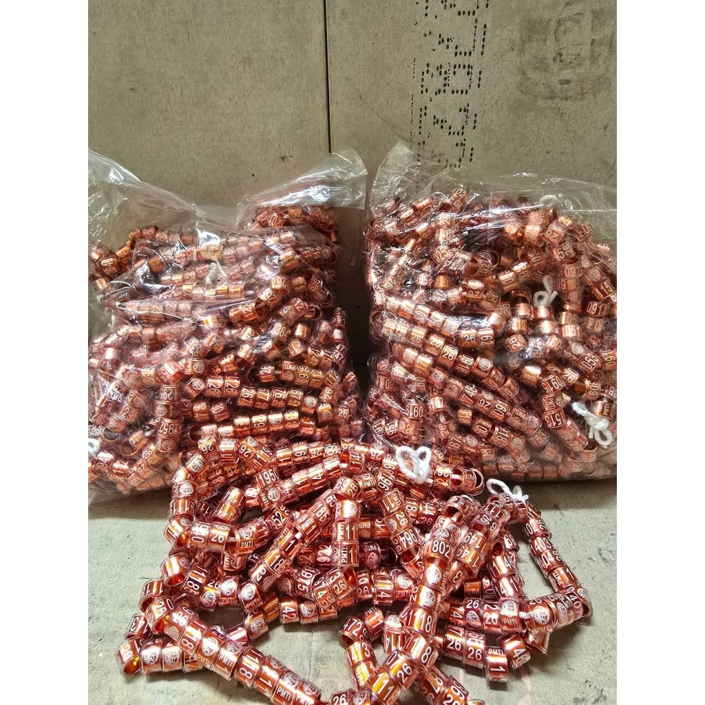 RING PMTI 2025 ASLI WARNA HITAM