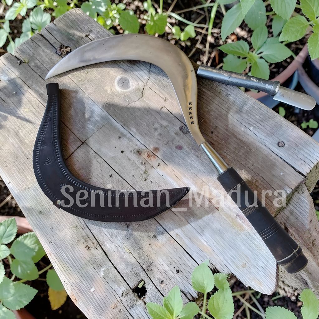 Alat berkebun Arit bintang 5 lengkap sarung kulit sapi asli madura