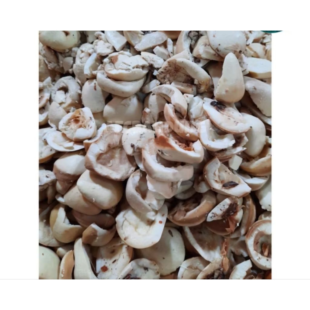 Sayur picung muda fresh tinggal di masak