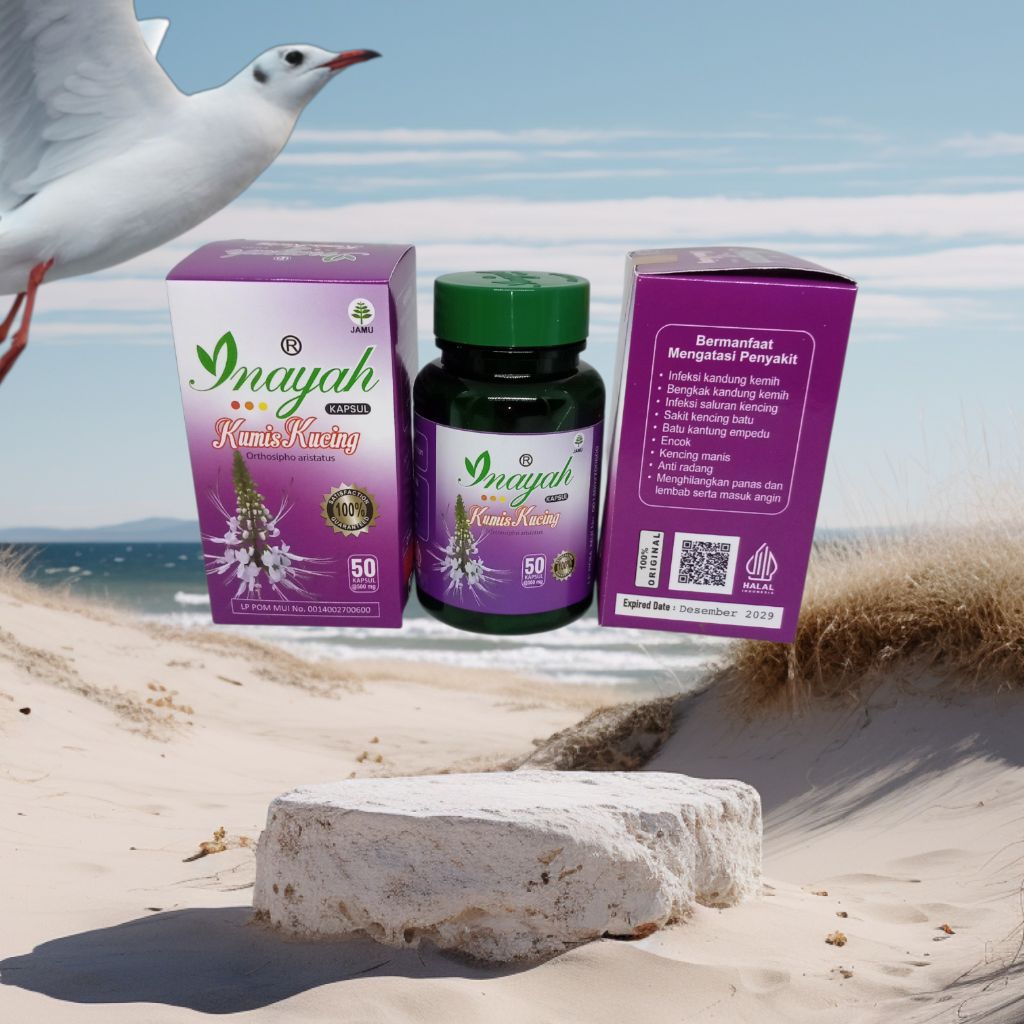 kapsul kumis kucing inayah 50 kapsul orthosipho aristatus kapsul kumis kucing herbal alami