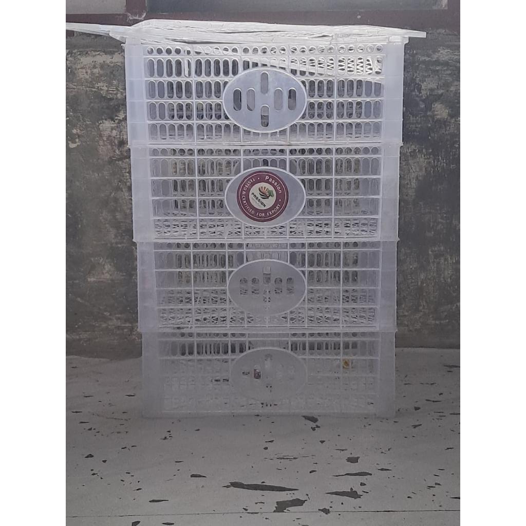 paking aman chiller box keranjang  dan sterofoam dust