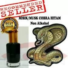 MISIK COBRA / Kobra Hitam Fancy Bouquet Cobra Bibit Murni Tanpa Campuran