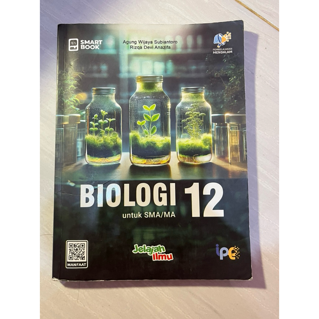 BUKU PAKET ERLANGGA || INTAN PARIWARA KELAS 12 || SAGUFINDO || MGMP || PRELOVED BUKU