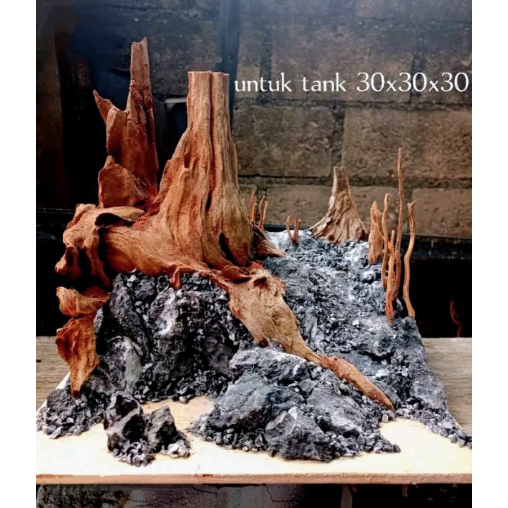 hardscape aquascape jungle