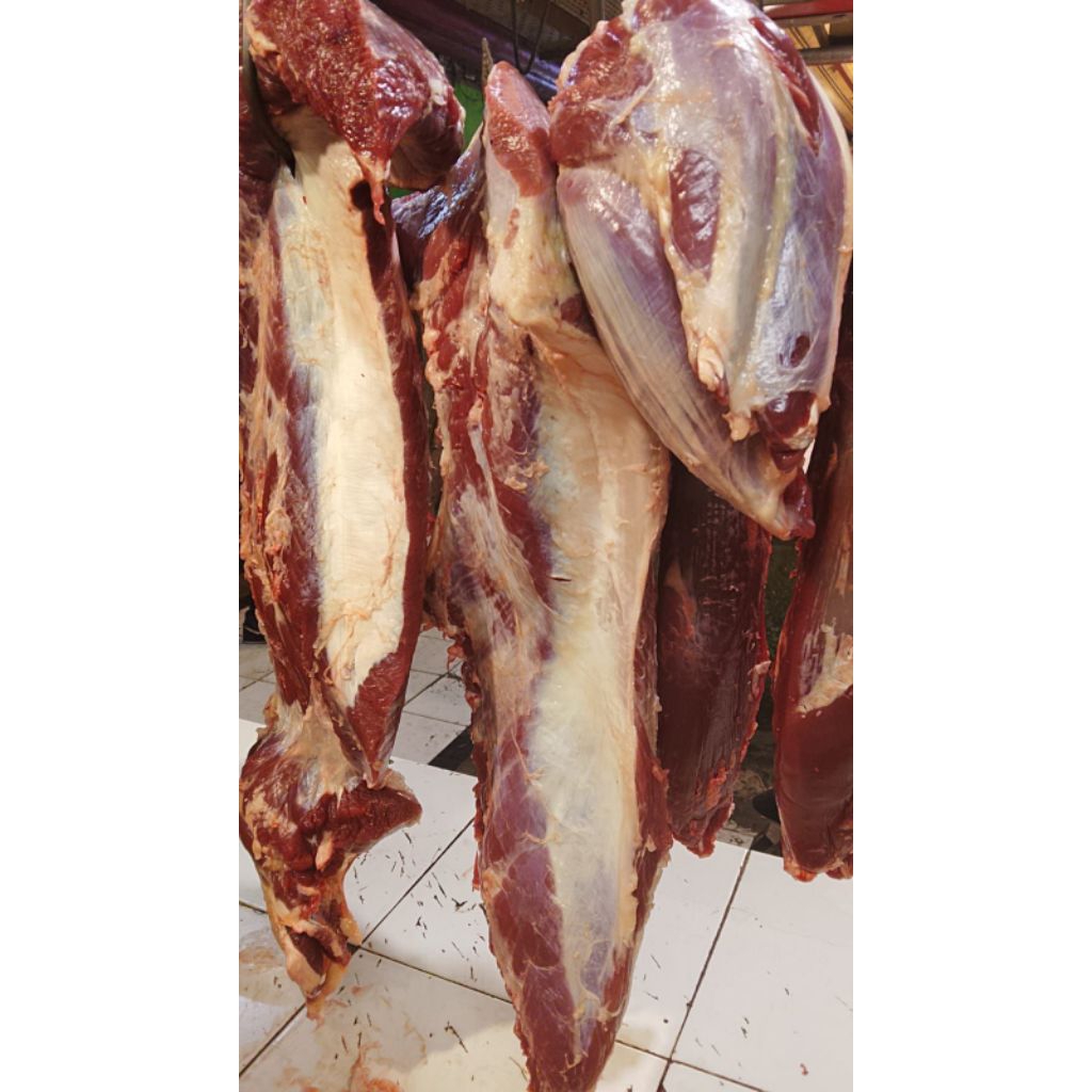 Daging Sapi Segar Lokal Bagian Paha Lamusir Sengkel Iga Sirloin