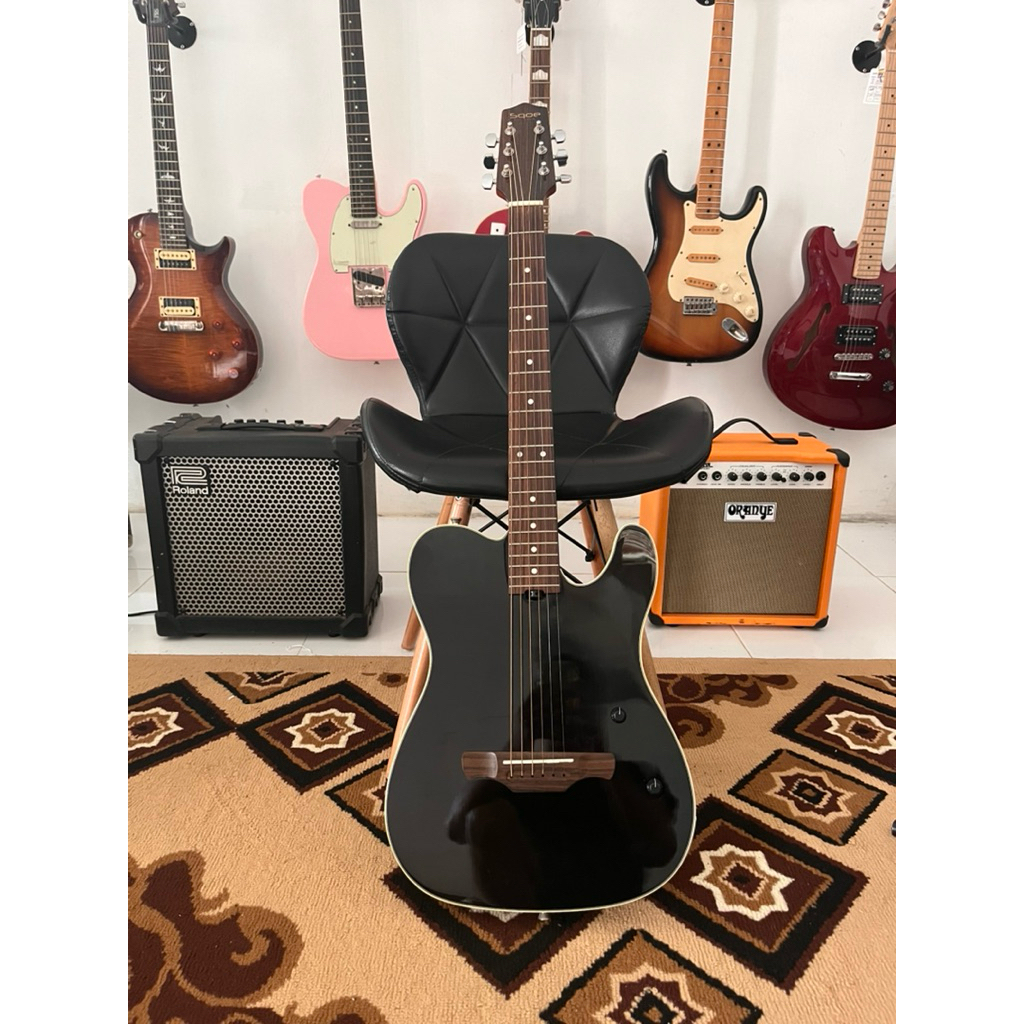 Sqoe Sead 900 (Akustik Elektrik)