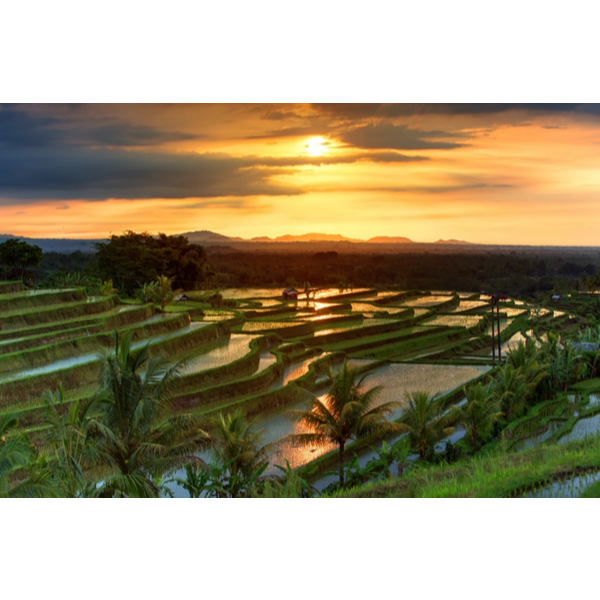 CTR CRASH TEAM RACING + NSANE TRILOGY + SPYRO PS4 PS5 Game