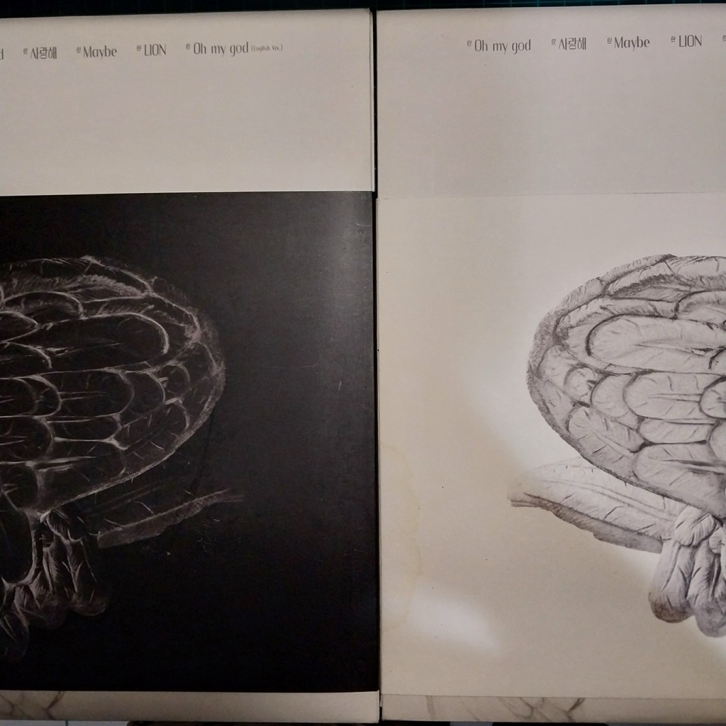 gidle idle i trust album only