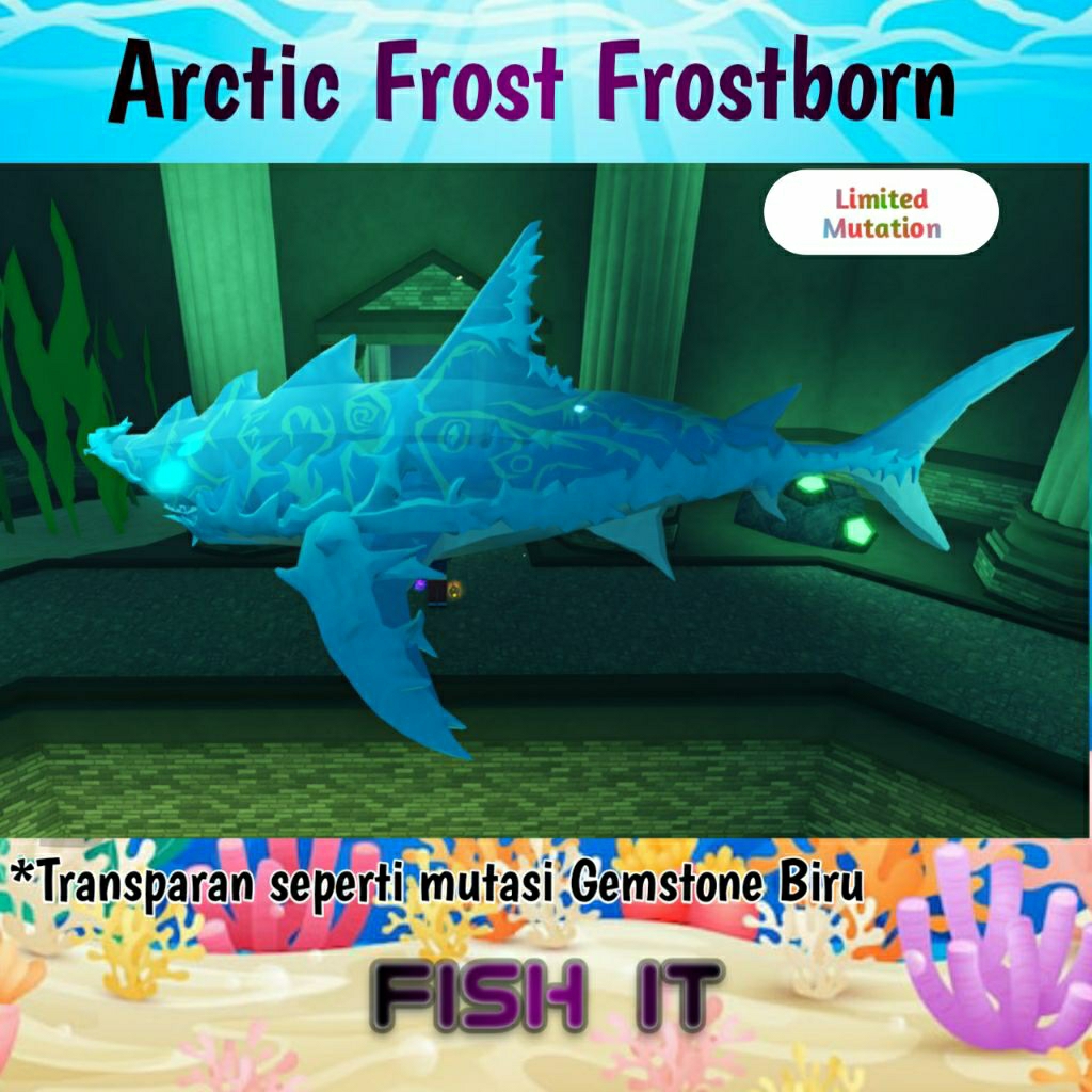 Arctic Frost Frostbom Shark