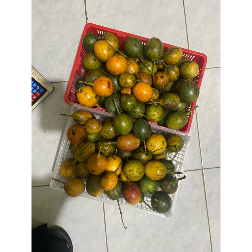 Konyal (Markisa Madu)