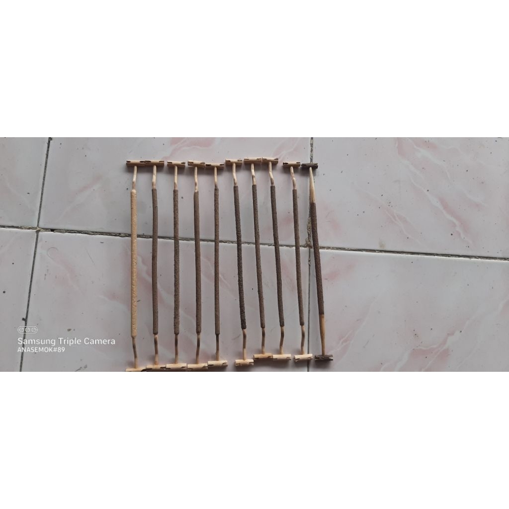 tangkringan burung pleci/sogon/konin