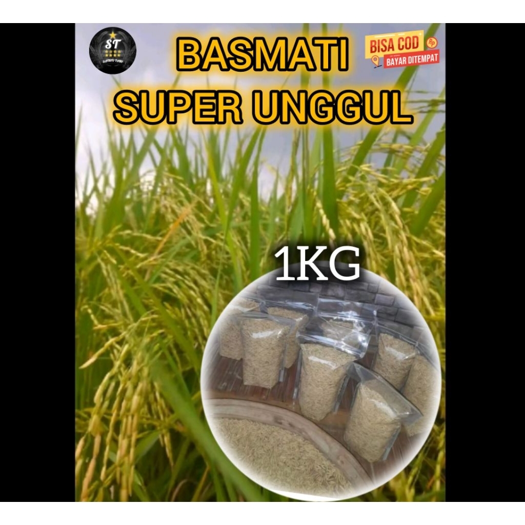 BENIH PADI BASMATI 1KG (Basmati Super Unggul