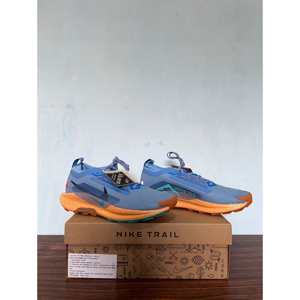 NIKE pegasus trail GTX blue