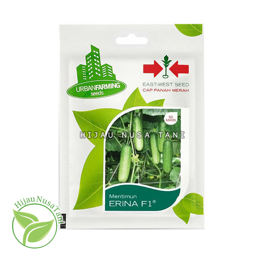 Benih Mentimun Timun Baby ERINA F1 [ 50 biji ] - CAP PANAH MERAH EAST WEST SEED Small Personal Pouch