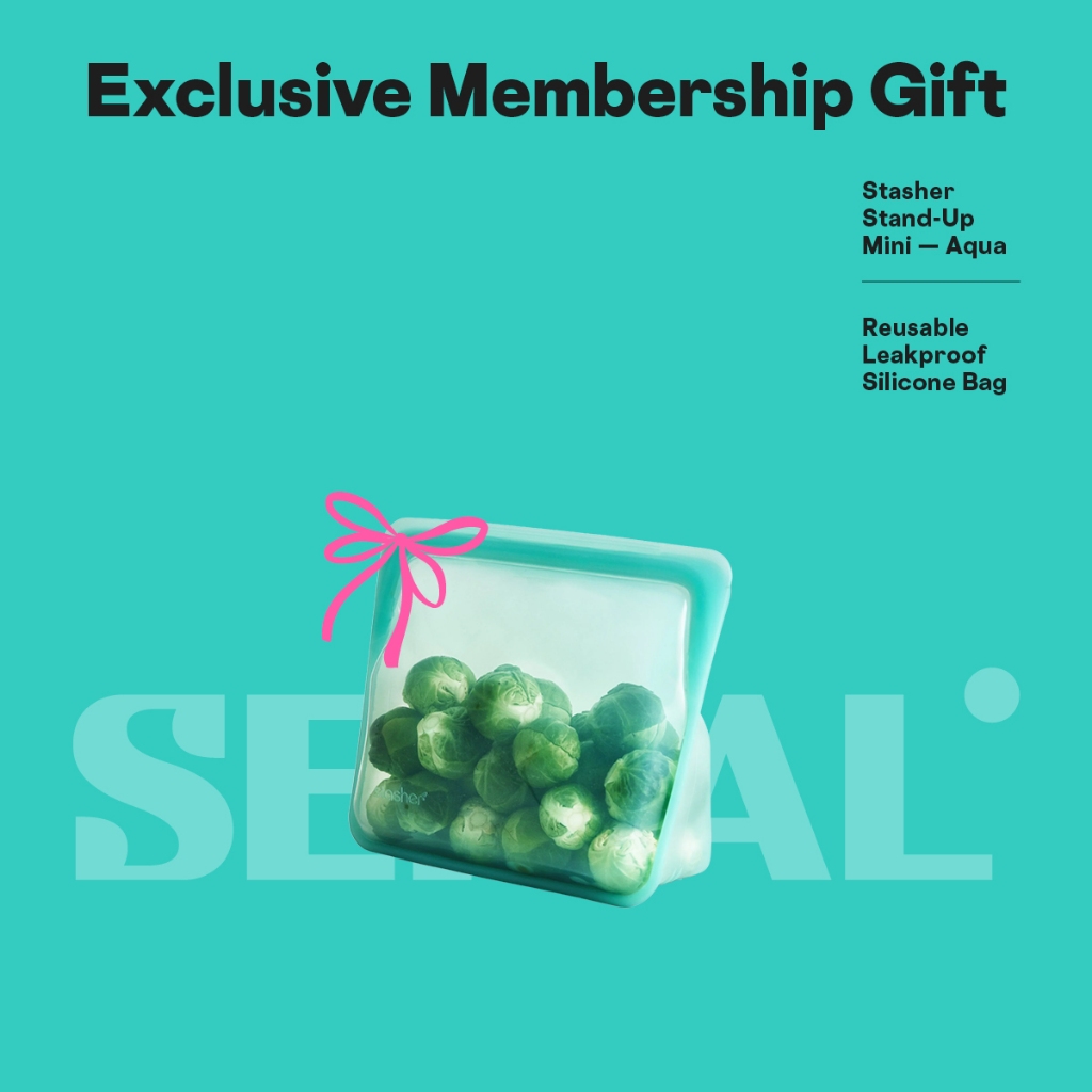 CORKCICLE MEMBERSHIP GIFT - Stasher Stand-Up Mini - Reusable Leakproof Silicone Bag - Aqua