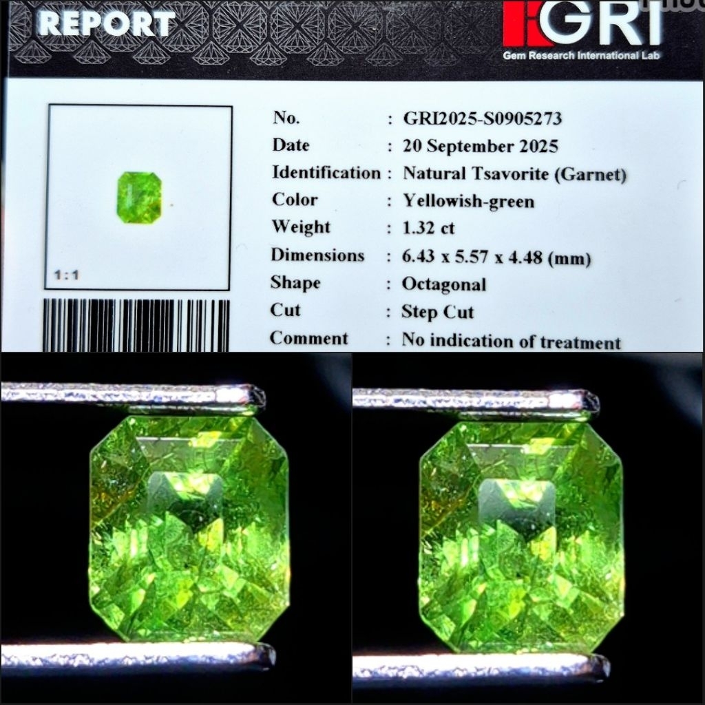 Natural Tsavorite Vivid Green Garnet Hot item NTE Memo GRI Lab