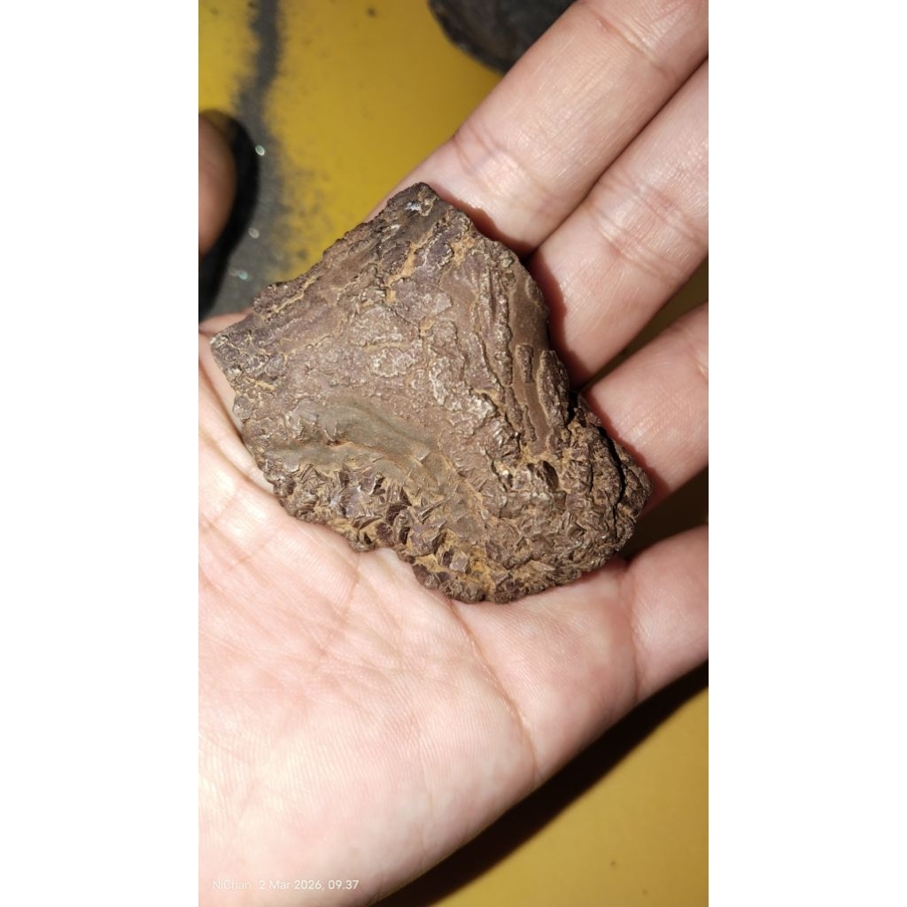 Batu pyrite/badar/kuarsa/pyrite/emas/mineral