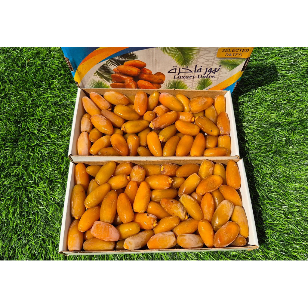 Kurma Ruthob/Kurma Basah/Kurma Segar