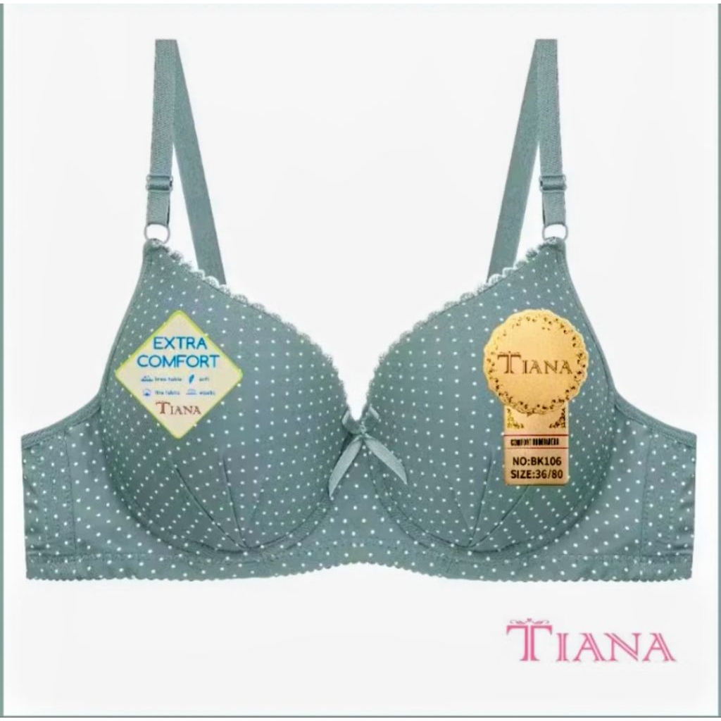 Bra Cup Besar Cup C BK106  Bra push up pakai kawat kancing 3 ukuran 38.40.42.44