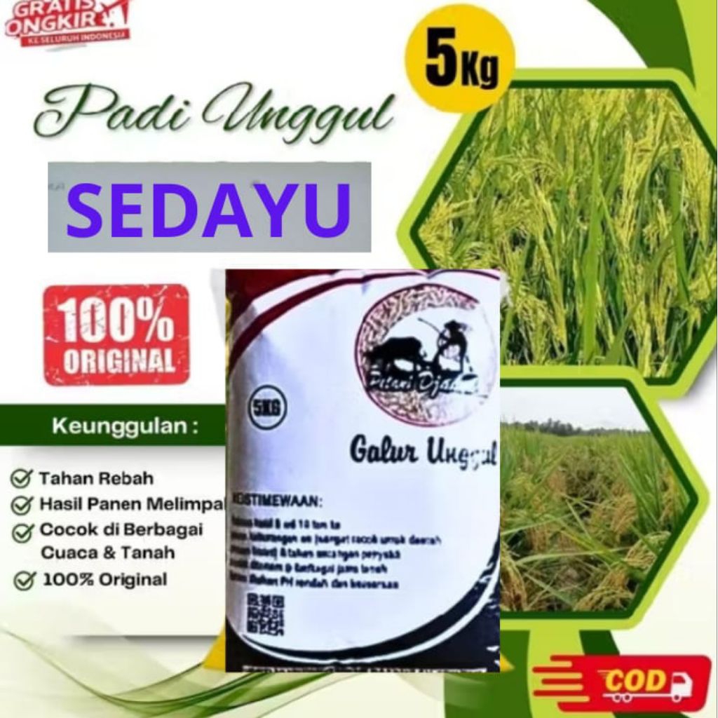 benih padi sedayu 5kg