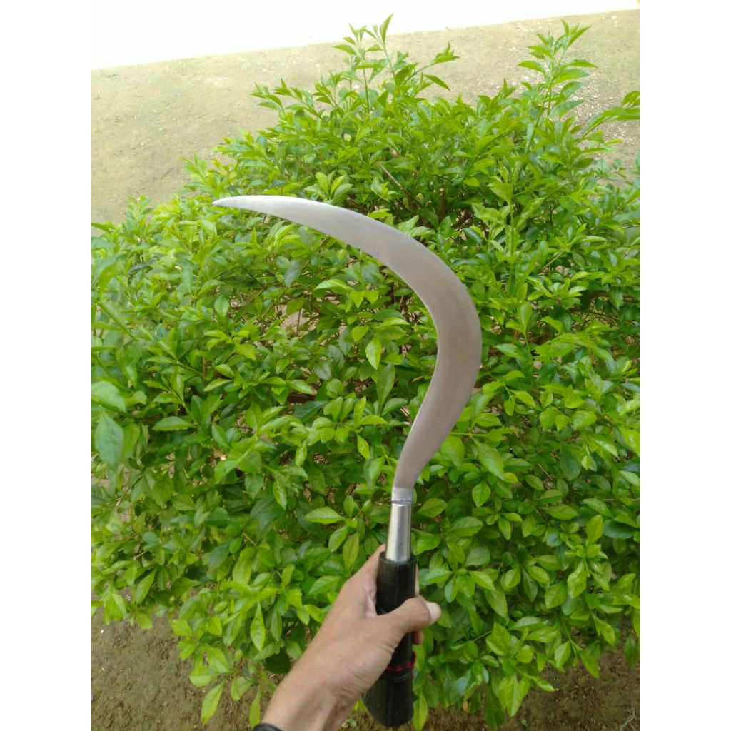 celurit madura lengkap sarung type bulu ayam