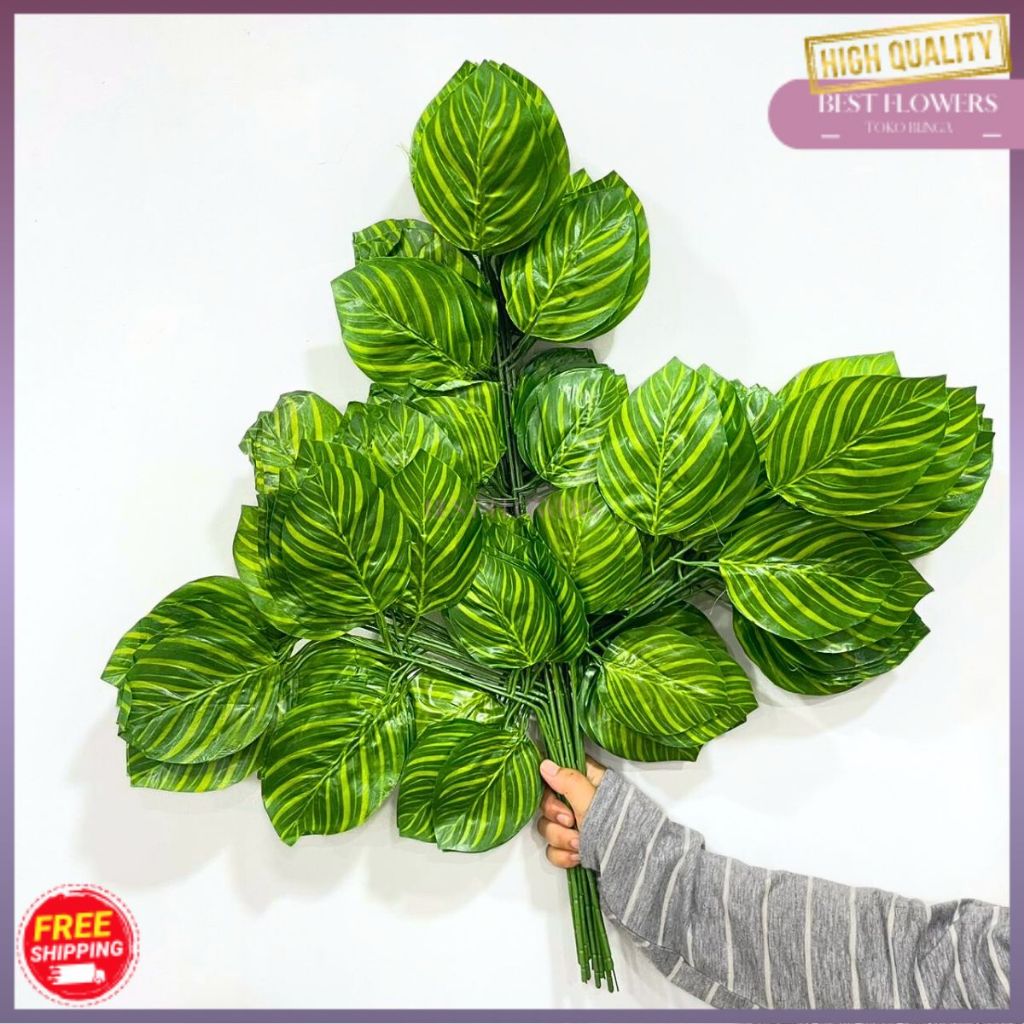 12 PCS Daub Semangka/ Daun Dekorasi Backdrop Wedding/Daun Calatea Hijau Untuk Dekorasi Lamaran