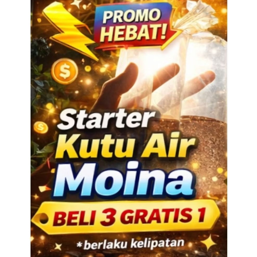 starter kutu air moina