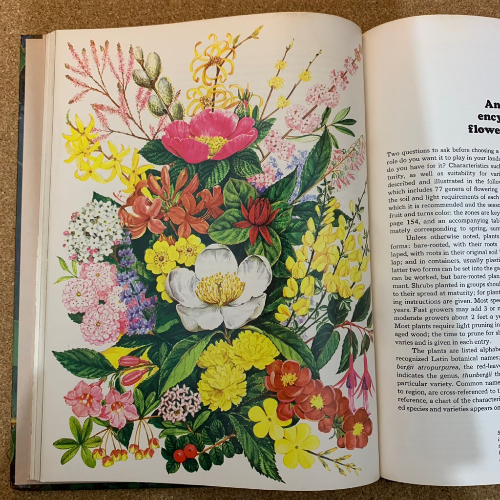 The time life encyclopedia of gardening | flowering shrubs