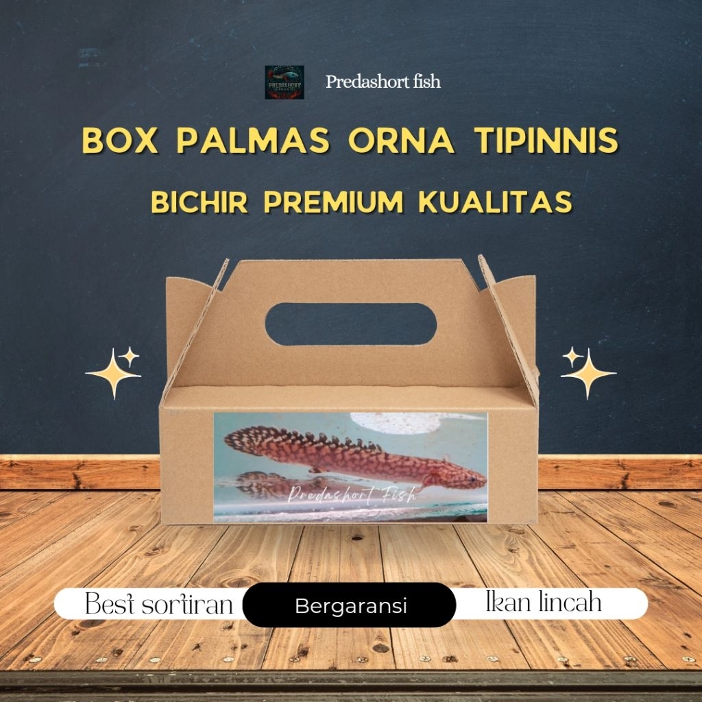 BOX kardus isi palmas ORNA TIPINNIS bergaransi pengiriman