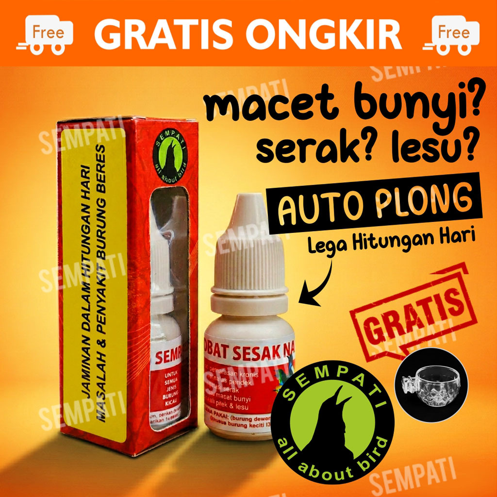 SEMPATI OBAT SESAK NAFAS SEMPATI MENGOBATI BURUNG GANGGUAN PERNAFASAN SERAK MACET BUNYI MURAI KACER 