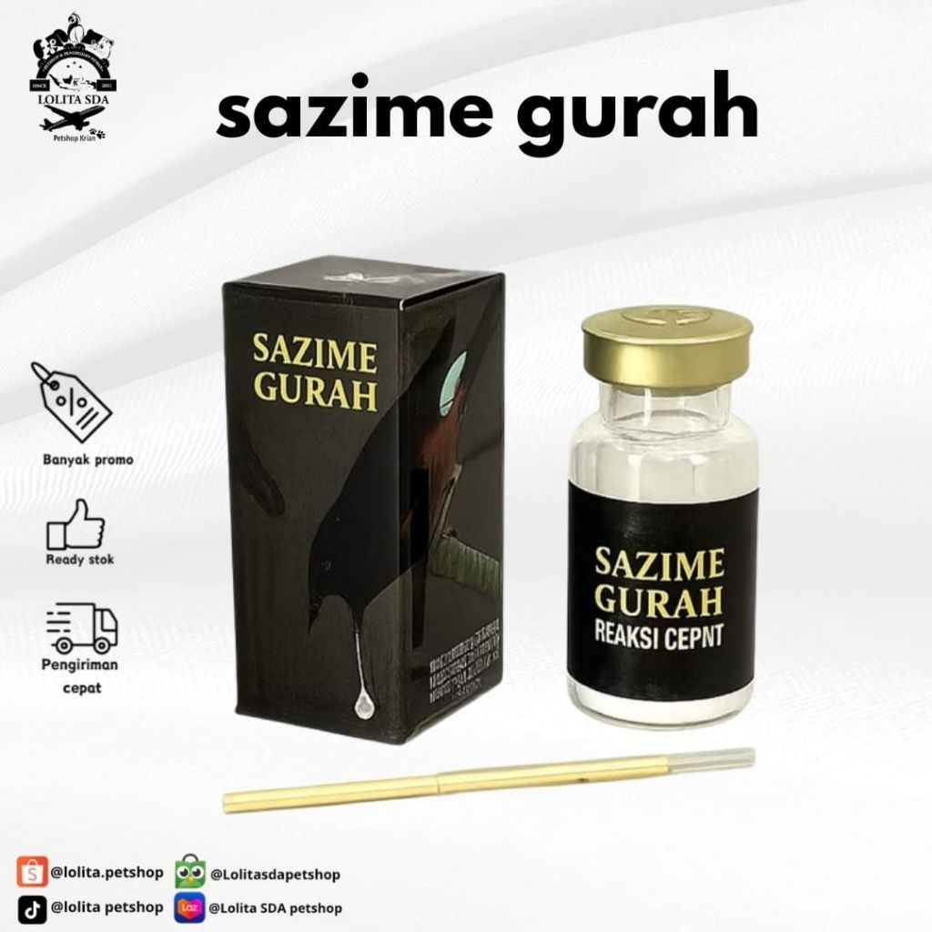 sazime gurah reaksi cepat burung berkicau